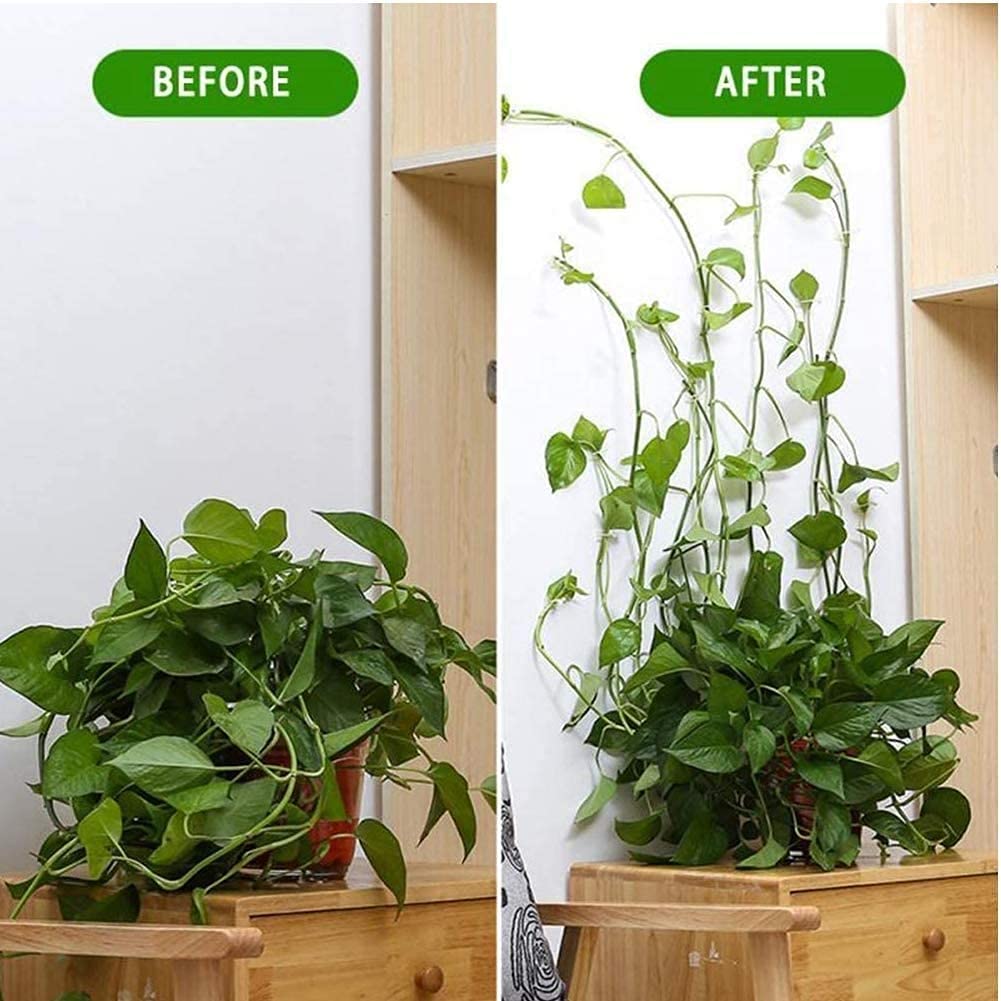 [60 Clips Set] Plant Climbing Self Adhesive Wall Clips.