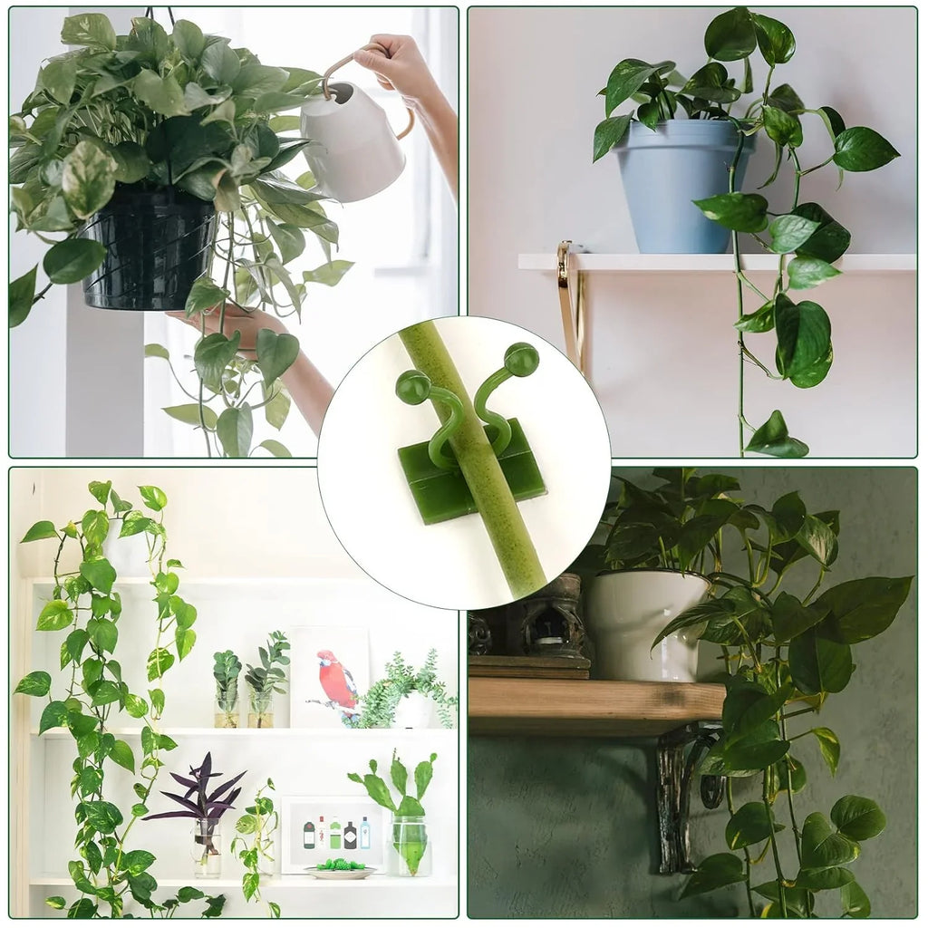 [60 Clips Set] Plant Climbing Self Adhesive Wall Clips