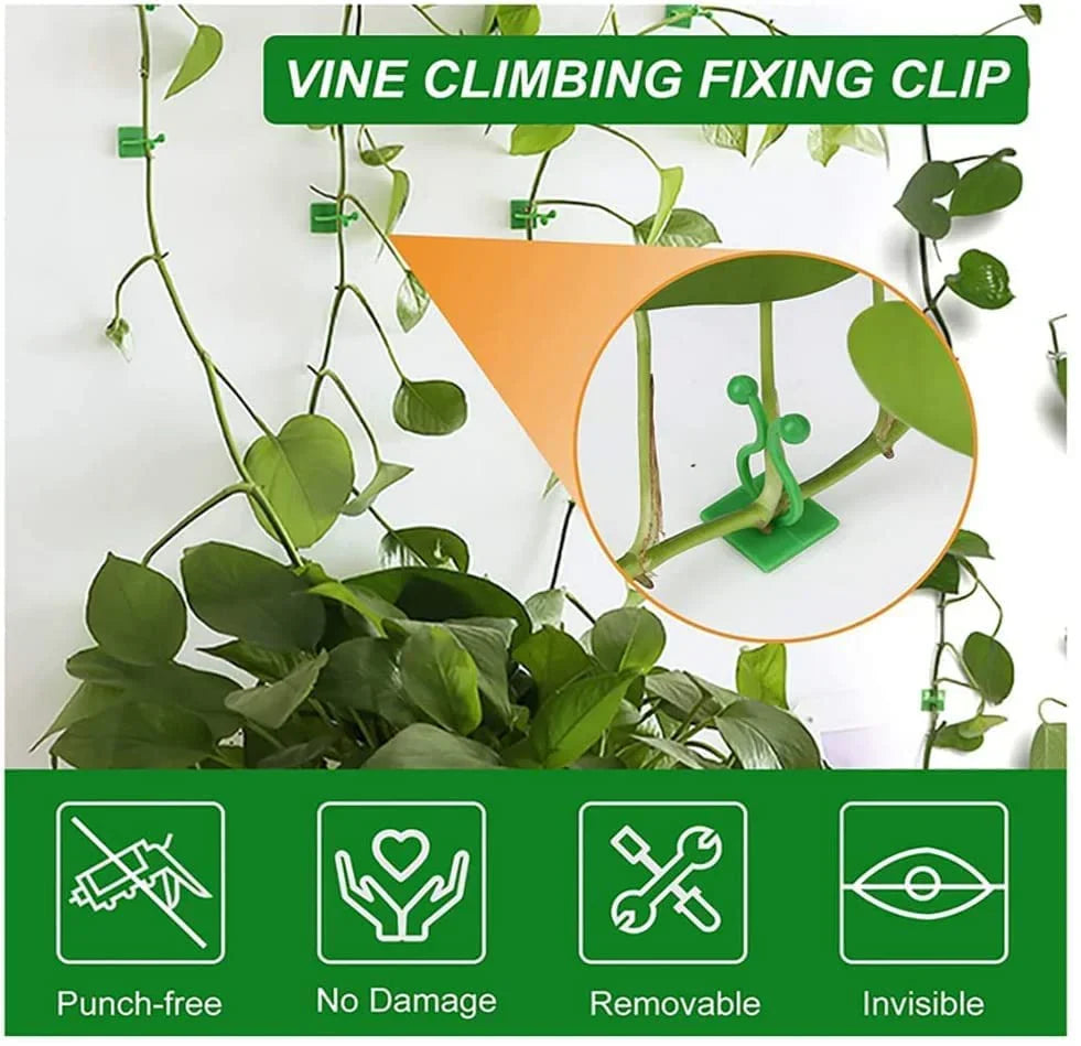 [60 Clips Set] Plant Climbing Self Adhesive Wall Clips