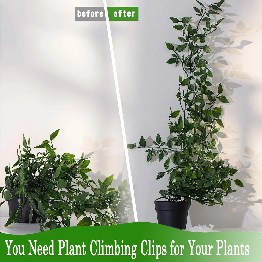 [60 Clips Set] Plant Climbing Self Adhesive Wall Clips.