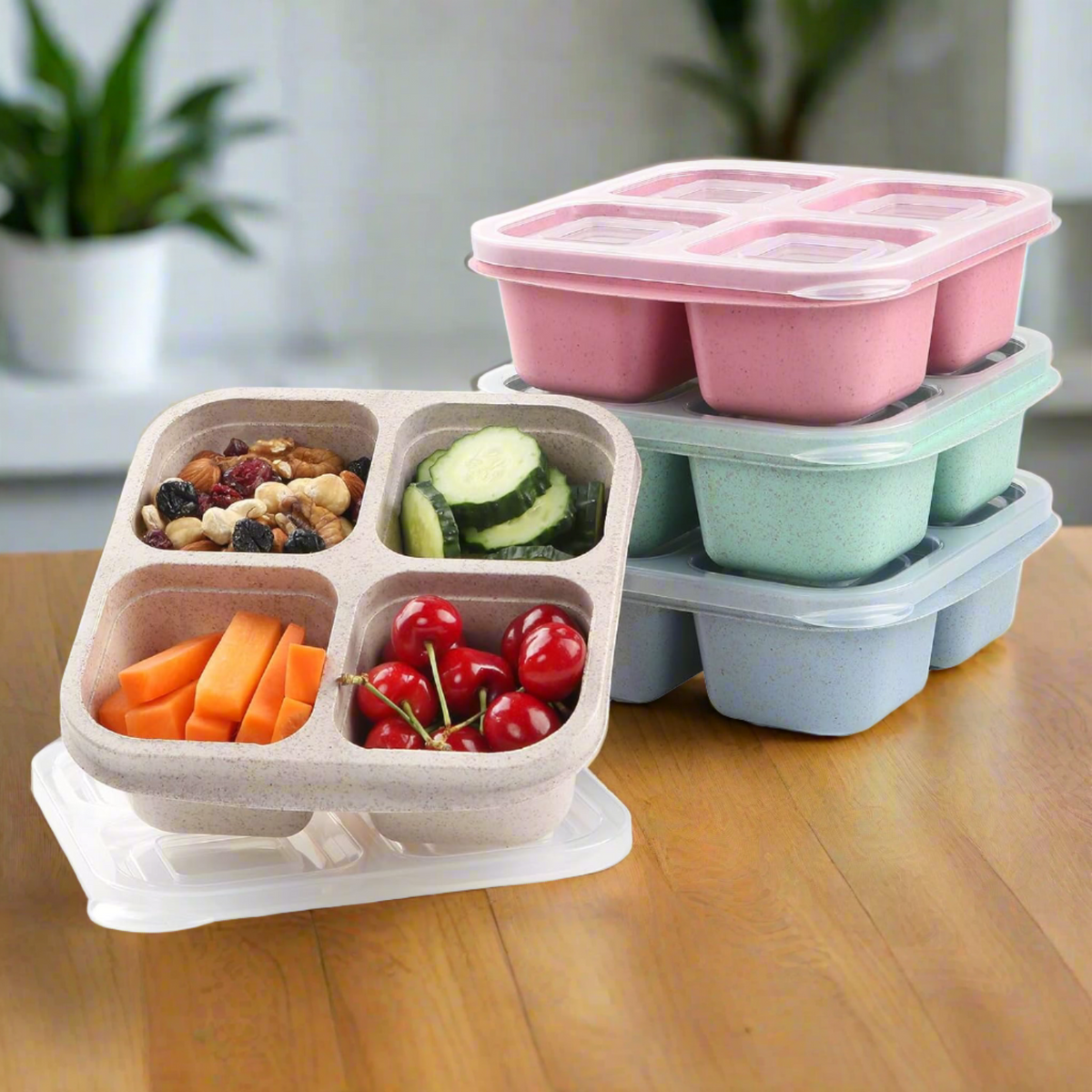Snack Containers (Pack of 4)