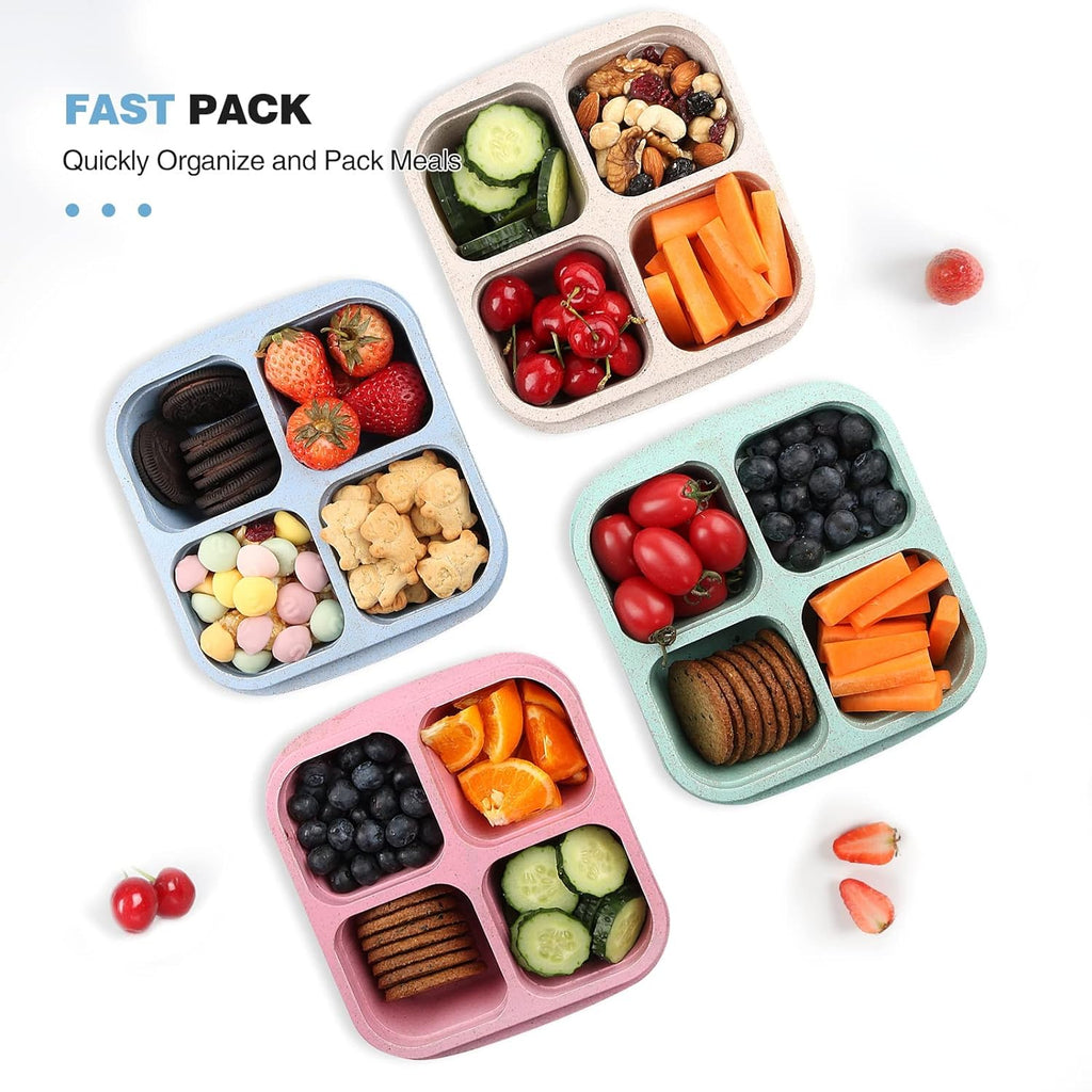 Snack Containers (Pack of 4)