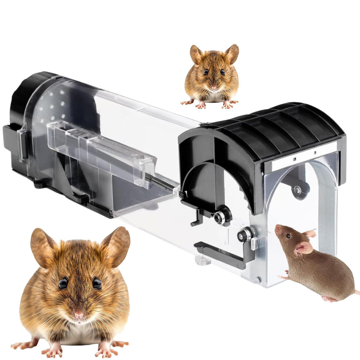 No Kill Reusable Mouse Trap.