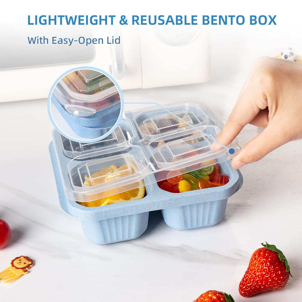 Snack Containers (Pack of 4)
