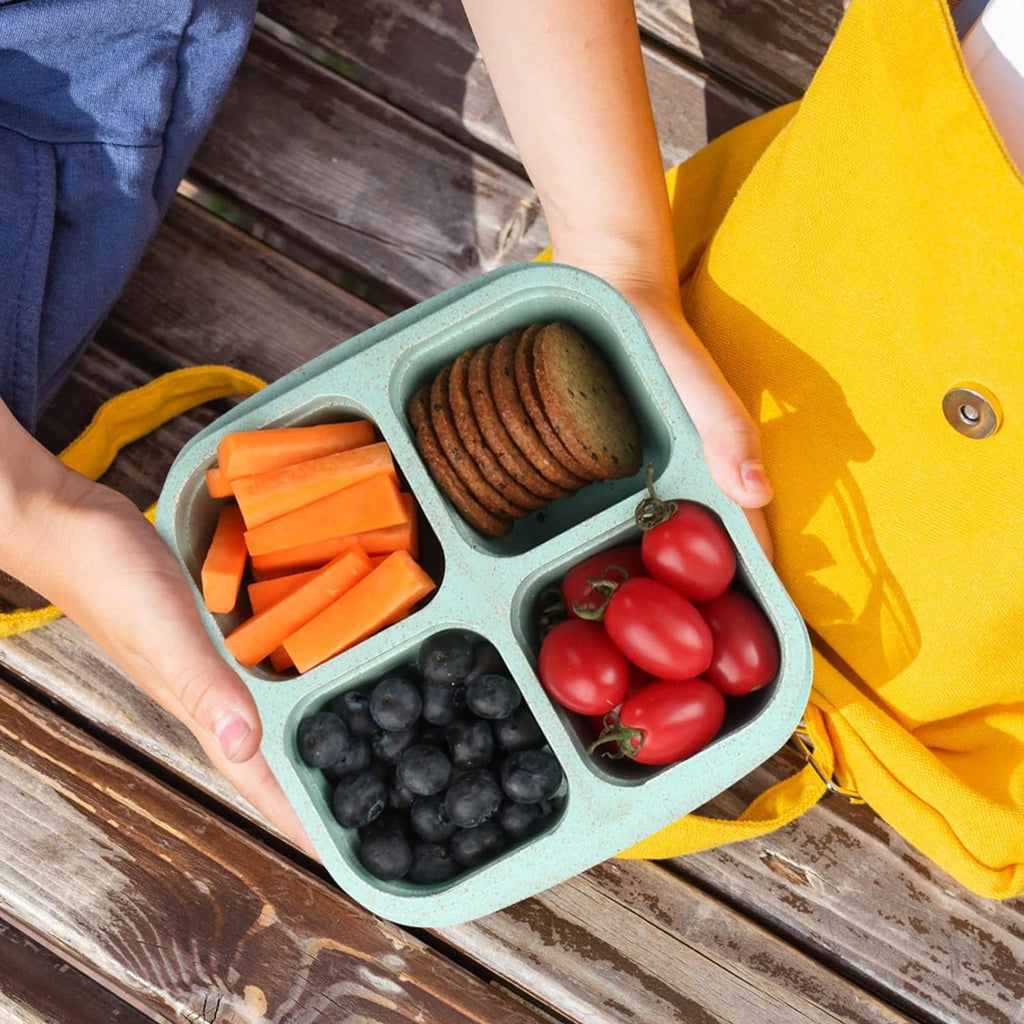 Snack Containers (Pack of 4)